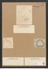 Diatomeae indet. (de-Toni-Nr.: Species 2432 ?) Zeichnungen Sammlung Grunow Nr. 5042 (NHMW-BOT-W0373302)